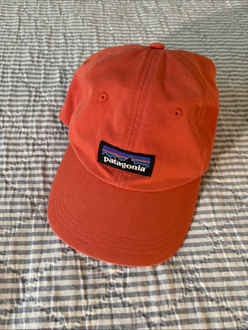 Patagonia Coral Six-Panel Logo Cap (women’s)